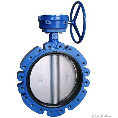 5mm Cast Steel Wafer Type Butterfly Valve-1