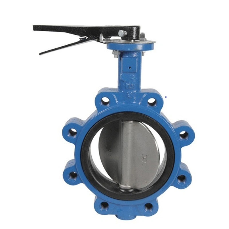 High Performing  Cast Iron Lug Type Butterfly Valve 40mm Manufacturer For tight shut off and flow control-2