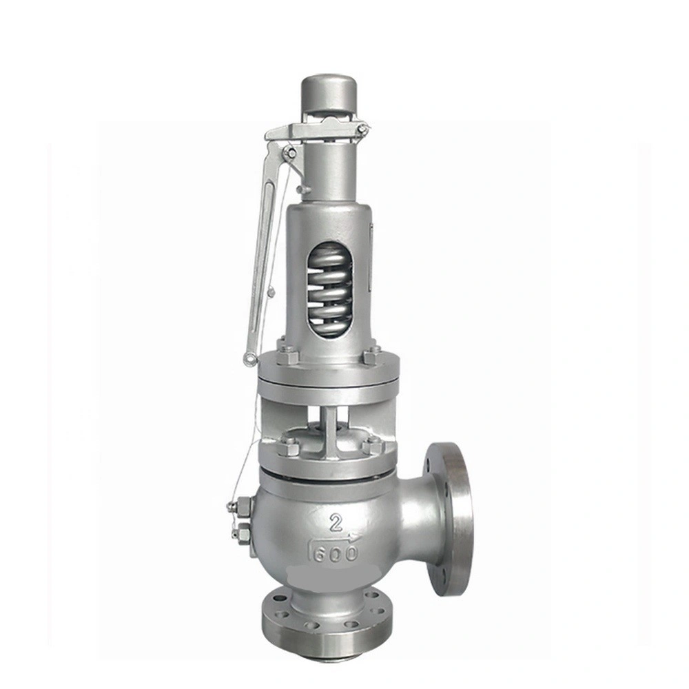 Best quality Safety relief valve for industries-2