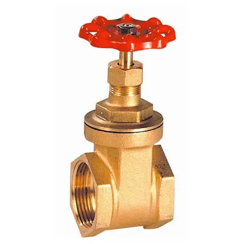 Gate Valve