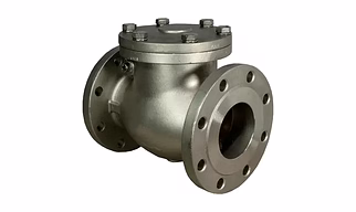 API 6D Certified Swing Check Valve for Oil & Gas