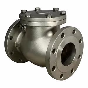 API 6D Certified Swing Check Valve for Oil & Gas