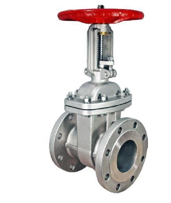 Premium Stainless Steel Gate Valve for Industrial Flow Control-12640393