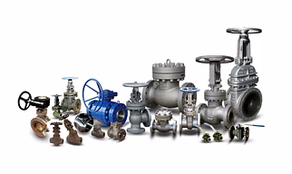 Corrosion-Resistant  Check Valve with NACE Compliance