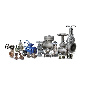 Industrial Check Valve