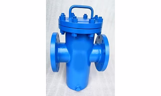Basket Type Strainers