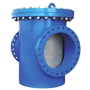 Basket Type Strainers