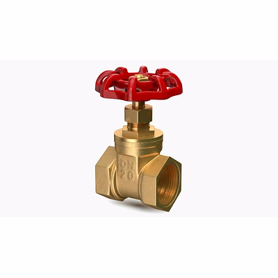 C-Way Bronze Gate Valve Threaded BSP/NPT Heavy Duty Water Oil Industrial Valve-4