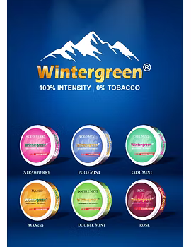 Wintergreen Nicotine Pouches-12483328-sm