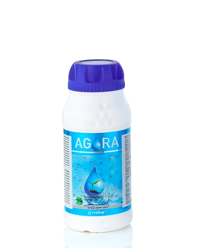 AGORA-11208740