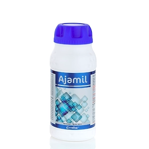 AJAMIL