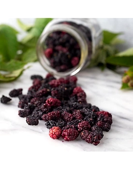 Spray Dried Blackberry Powder