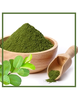 spray dried guava powder