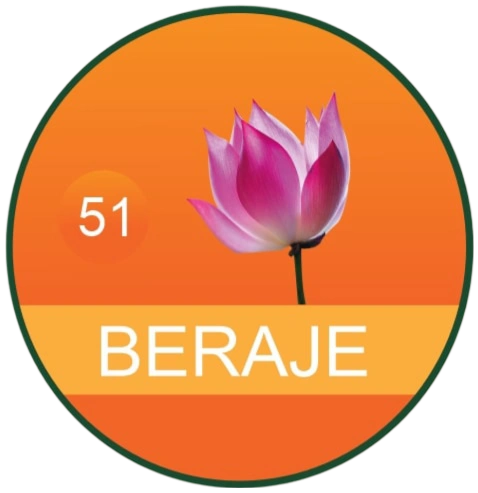 Beraje Sabji Masala 100 g-2