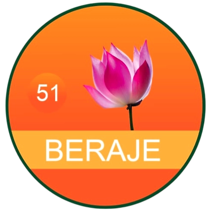 Beraje Sabji Masala 100 g-1