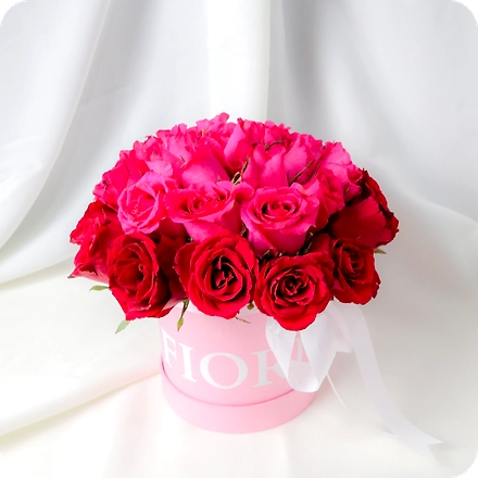 LOVE-LOVE-FRESH-N