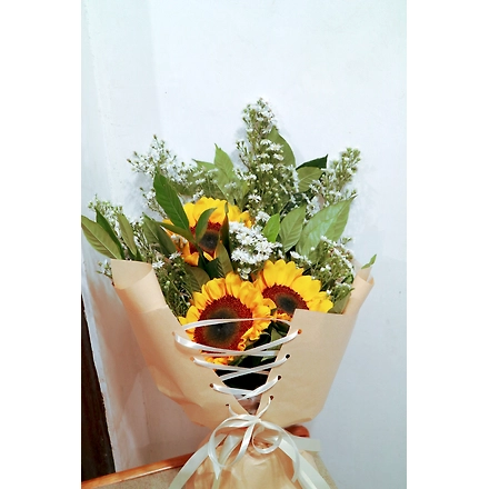 SUNSHINE-2