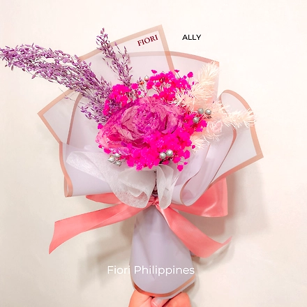 ALLY-ALLY-DRIED-F
