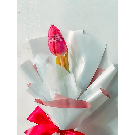 Fresh Tulips-TLP-FRESH-NEW