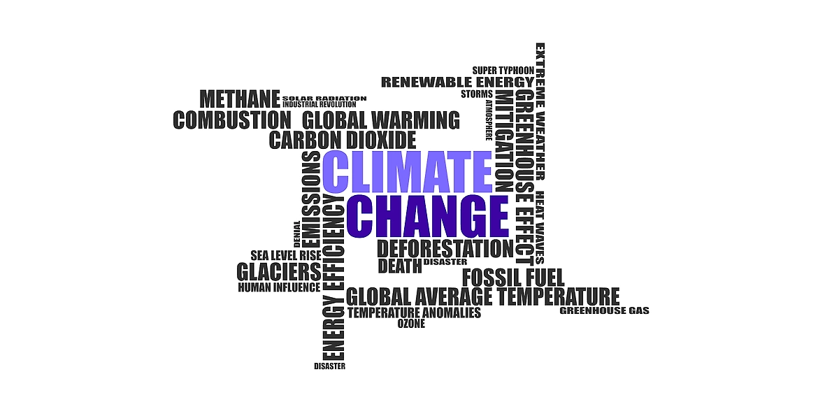 Alt Protein: Future weapon to fight against climate change