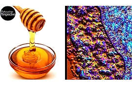 Real Honey vs Fake Honey under a microscope.