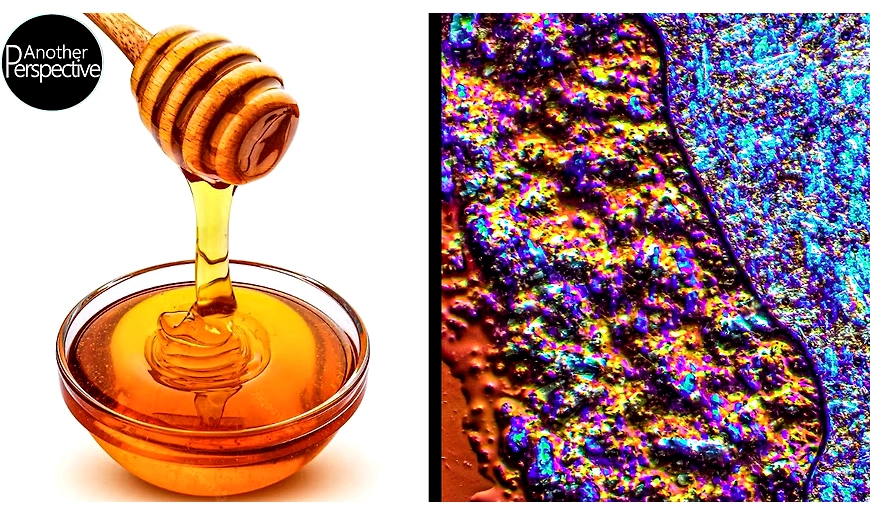 Real Honey vs Fake Honey under a microscope.