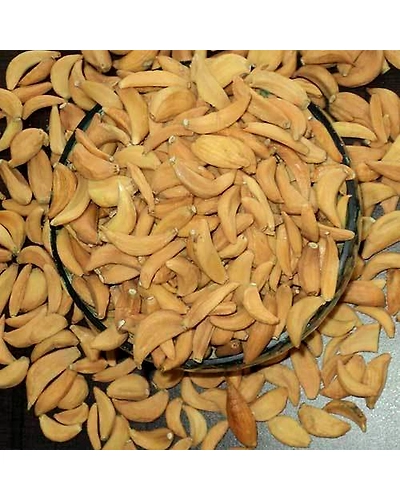 dired garlic flakes-12310474