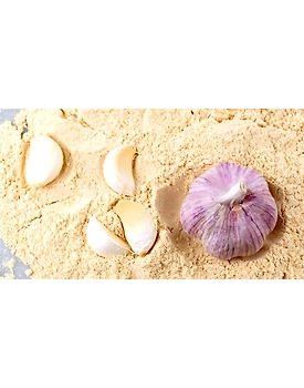 dired garlic powder