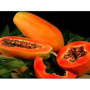 Papaya