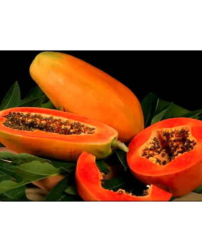 Papaya-1