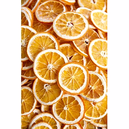 nexus foods dehydrated orange slice