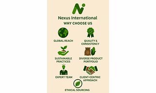 Import Export Consultancy - Empowering Global Trade Success