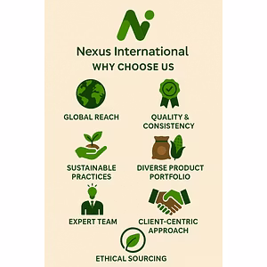 Import Export Consultancy - Empowering Global Trade Success