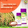 Telangana Sona Rice