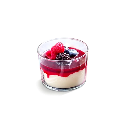 Vanilla Panna Cotta Instant Dessert Mix 1Kg Horeca Pack-5