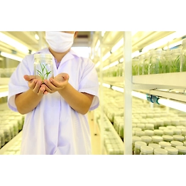 Agar Agar Plant Tissue Culture Grade