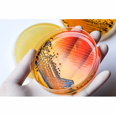 agar agar bacteriological grade