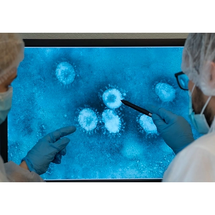 Agarose-3