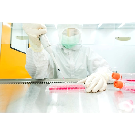 Agar Agar Bacteriological Standard Grade-2