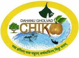 Gholvad Chikkoo /Sapota-4kg-4