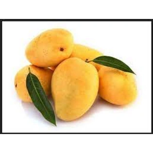Marathwada Kesar mango