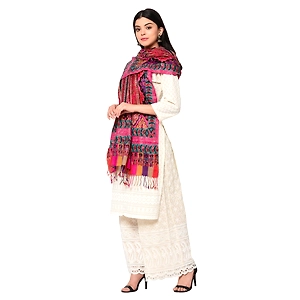 Paisley Printed Hand Tie Dye Shawl With Multicolored Kashmiri Aari Outlining of the Motifs