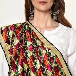 Multicolored Thread Embroidery Phulkari Full Jaal Dupatta By The Amritsar Store