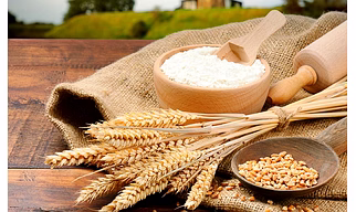 Refined Wheat Flour
