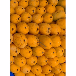 mango pulp