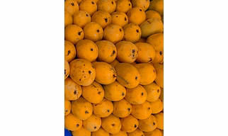 Mango Pulp