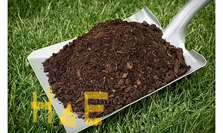 Organic Fertilizer