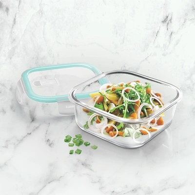 Hi Borosilicate Clip Fresh Square Containers