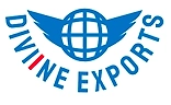 DIVIINE EXPORTS-logo