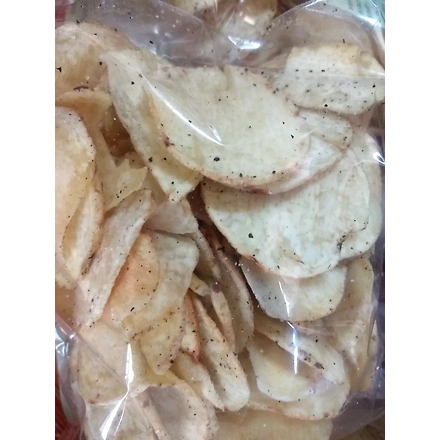 COLOCASIA-11375950